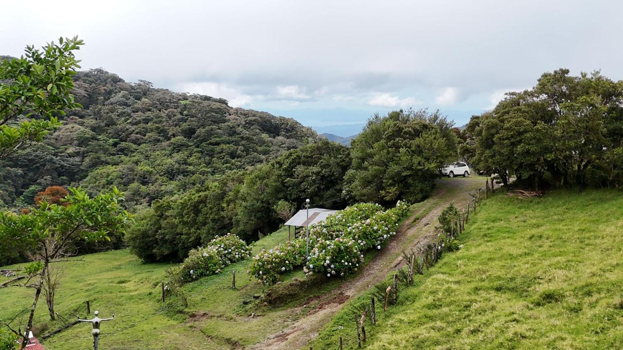 Dadirri House Minicasa Santa Elena Monteverde 외부 사진